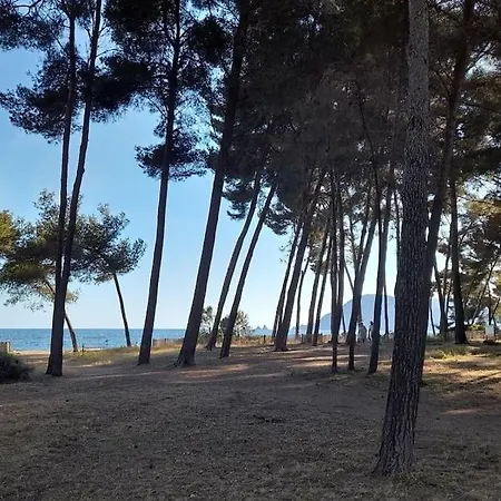 De 50 M2 Climatise Et Moderne A 100 M De La *