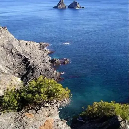 De 50 M2 Cosy Et Moderne à 100 M De La