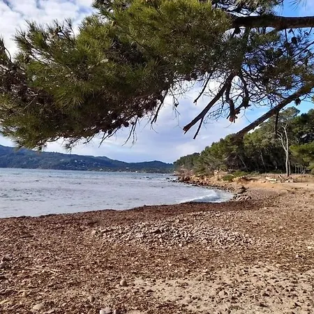 Appartamento De 50 M2 Cosy Et Moderne à 100 M De La Saint-Mandrier-sur-Mer