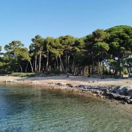 De 50 M2 Cosy Et Moderne à 100 M De La Appartamento