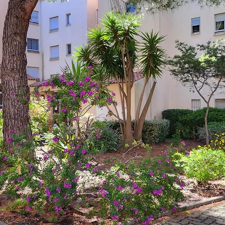 Appartamento De 50 M2 Cosy Et Moderne à 100 M De La *